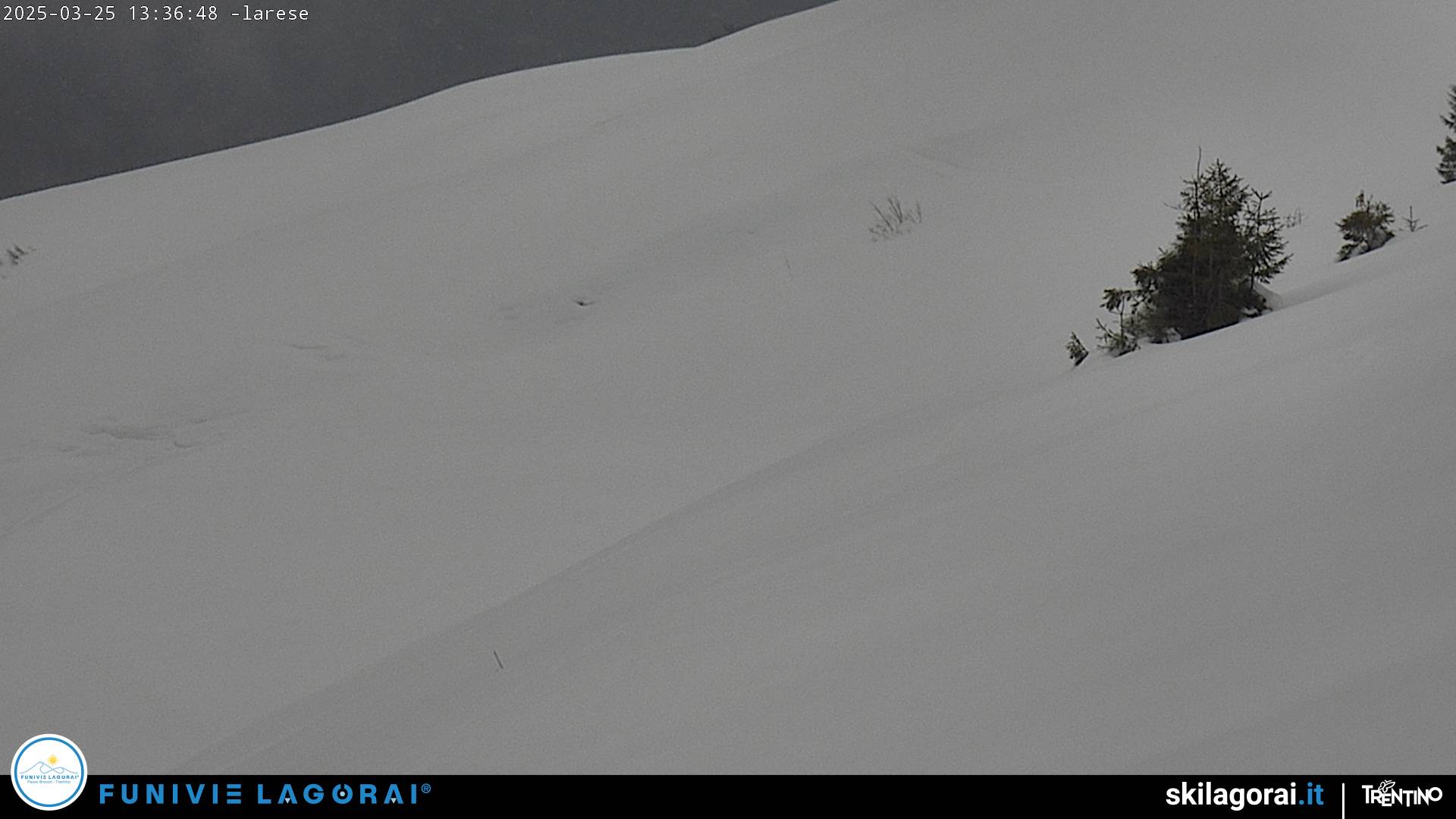 Webcam Lagorai - Passo Passo Brocon Laresé Monte Agaro