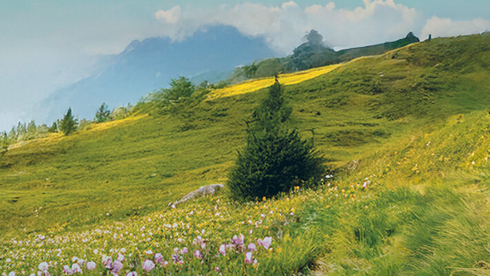 Ski Lagorai apre anche d’estate