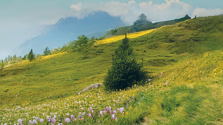 Ski Lagorai apre anche d’estate