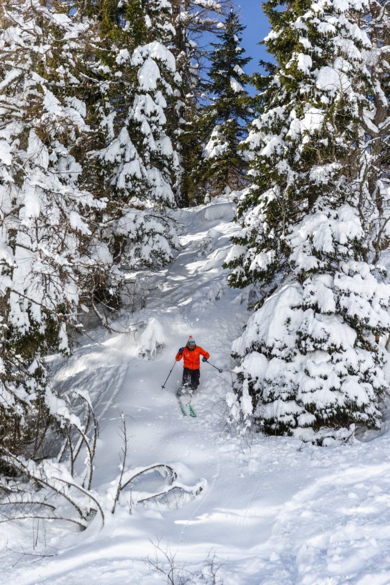 Freeride Funivie Lagorai a Passo Brocon (TN) 1