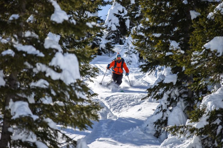 Freeride Funivie Lagorai a Passo Brocon (TN) 3