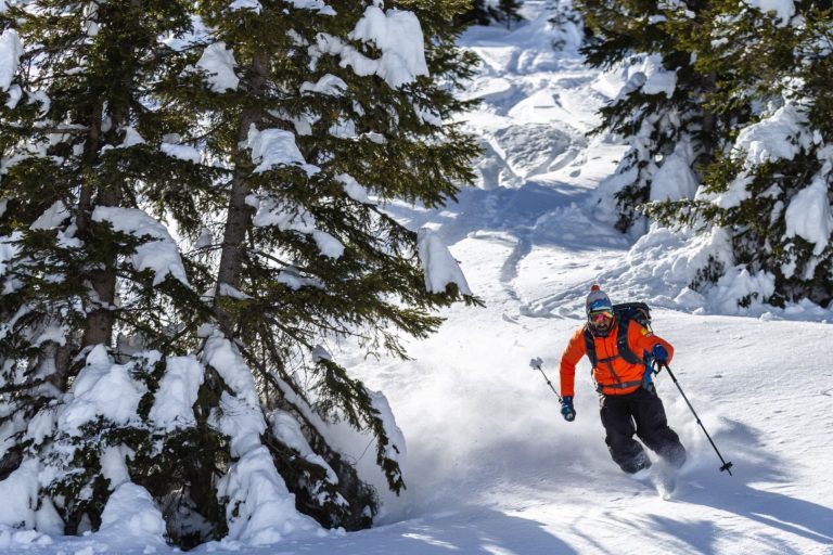 Freeride Funivie Lagorai a Passo Brocon (TN) 4